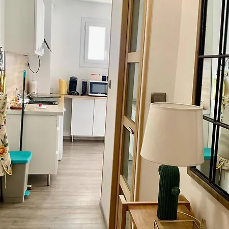 Apartmán F2 Avec Terrasse, Proche Centre Et Cures - Amelie-les-bains - Fr-1-703-41